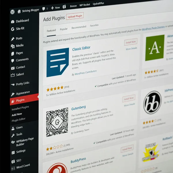 wordpress